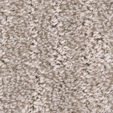 Carpet | Carpet City